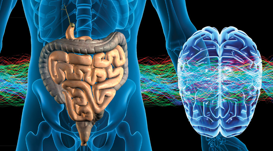 Medical illustration showing a blue translucent human body with highlighted digestive system in beige and a glowing blue brain. Colorful wavy lines connect the gut and brain, representing the gut-brain connection.
