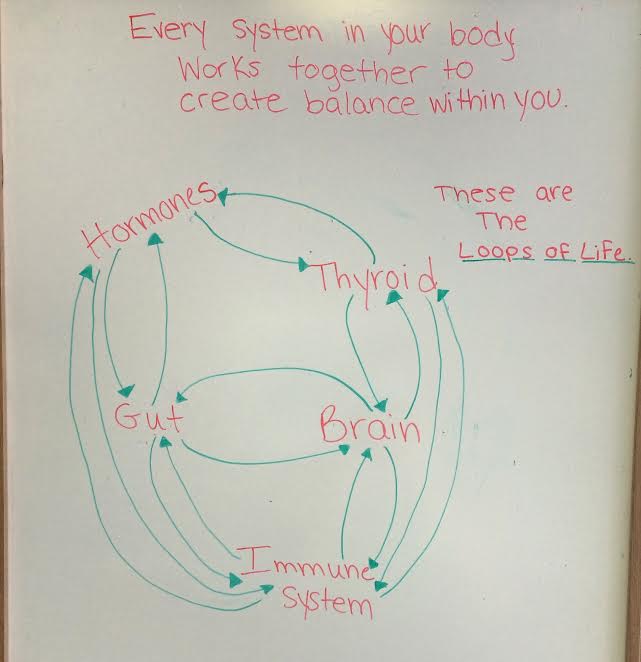 Handwritten diagram on paper showing interconnected body systems labeled "Hormones," "Thyroid," "Brain," "Immune System," and "Gut" with arrows connecting them. Text at top reads "Every system in your body works together to create balance within you." Caption says "These are The Loops of Life - This is a featured image in a blog post about low melatonin health risks