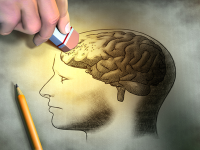 An illustration of the brain
