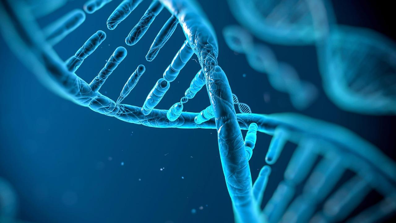 Illustration of gene transfer process, representing how sauna bathing may impact genetic expression and health