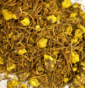 Goldenseal Root - Hydrastis Canadensis