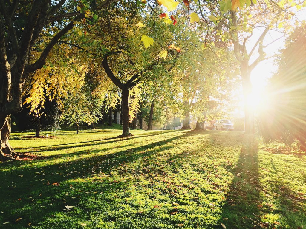A featured image in a blog post about Vitamin D levels