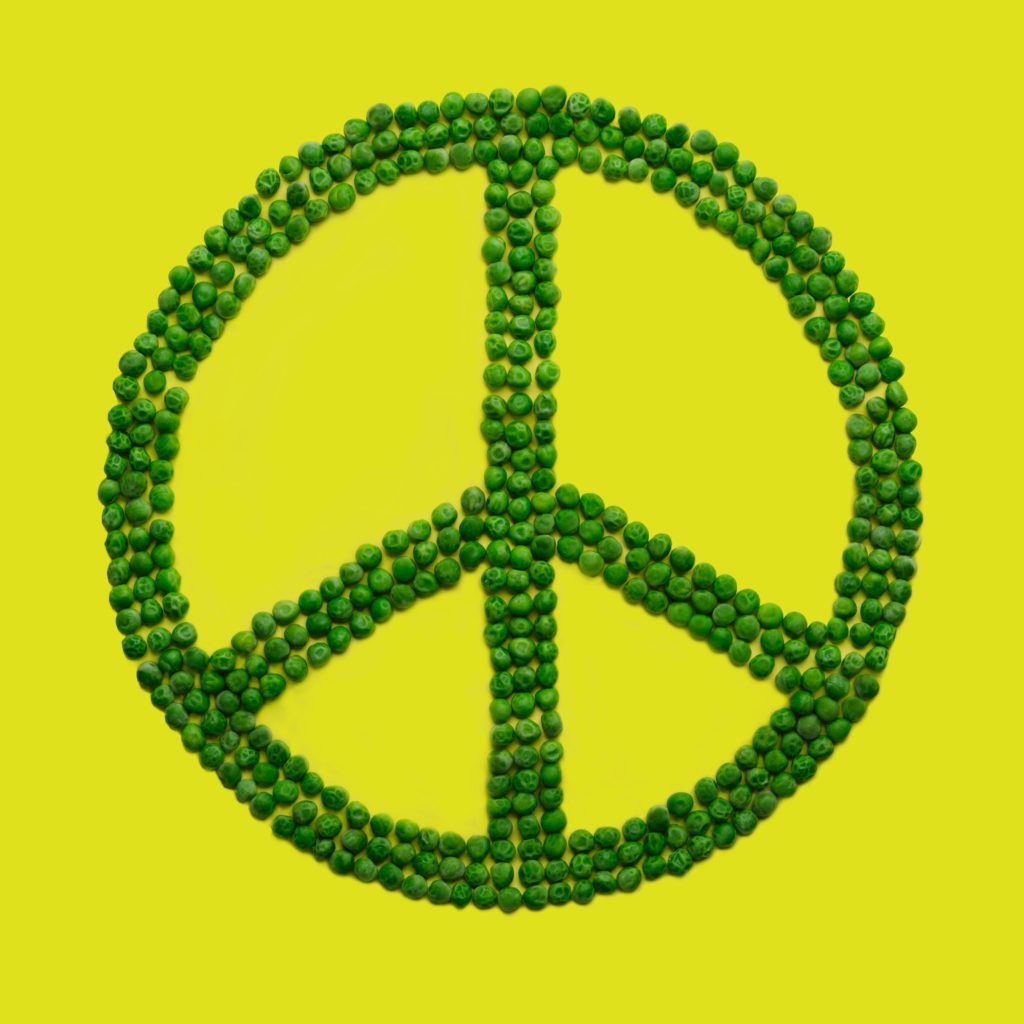 stoica ionela 530973 unsplash