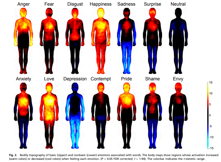 body colors