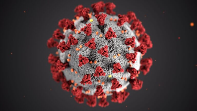 Coronavirus: How To Protect Your Immune System -Update