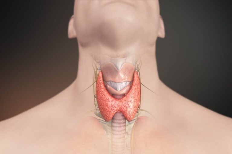 Can thyroid affect pregnancy? Here's a study on the role between thyroid and pregnancy and how it affects baby.